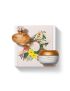 Coffret Lily Lumière